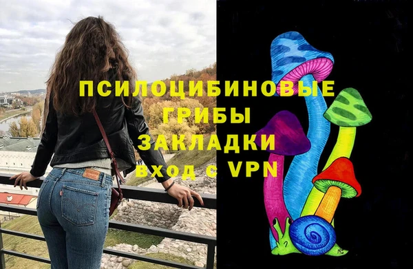 молекула духа Гусев