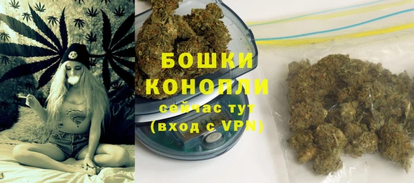молекула духа Гусев