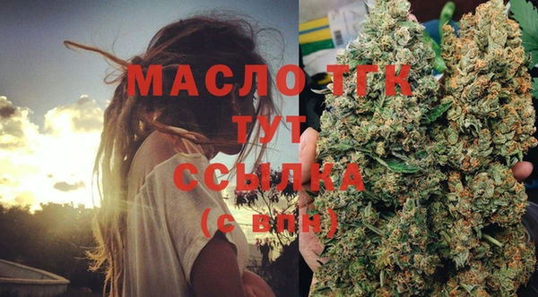 молекула духа Гусев