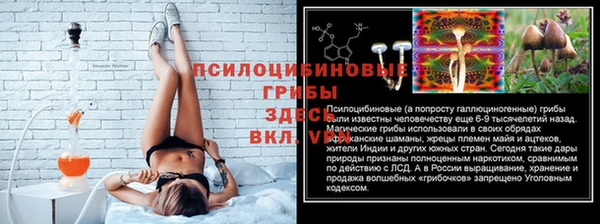 спиды Фёдоровский