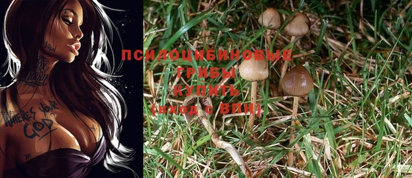 молекула духа Гусев