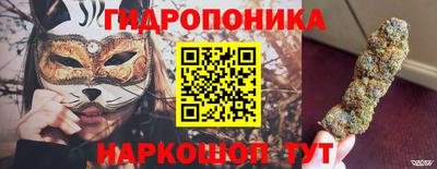 прущие грибы Заволжье