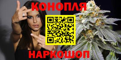 прущие грибы Заволжье