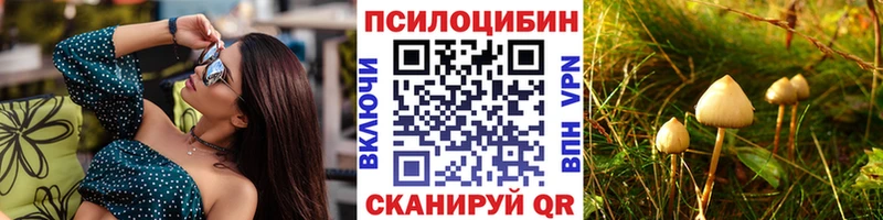 Псилоцибиновые грибы Magic Shrooms  OMG ССЫЛКА  Москва  купить  