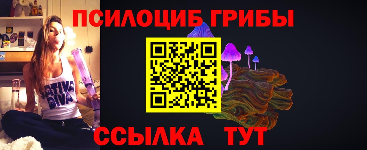 Псилоцибиновые грибы GOLDEN TEACHER  Галлюциногенные грибы GOLDEN TEACHER  Москва  Вход с VPN 