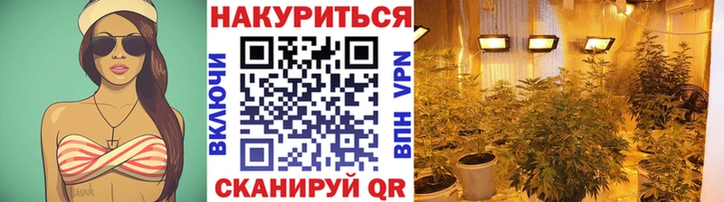 Канабис семена  дарк нет как зайти  Москва  ОМГ ОМГ сайт 